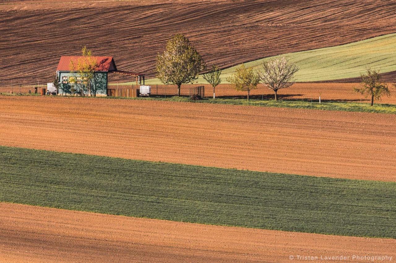 Moravske Toskansko Stavesice Extérieur photo