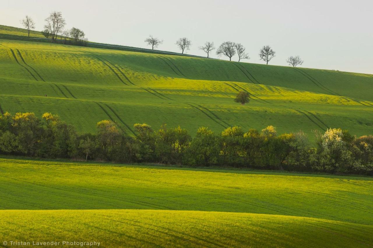 Moravske Toskansko Stavesice Extérieur photo
